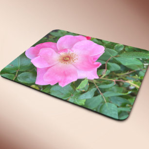 Pink Rose Flower Bloom Mouse Pad
