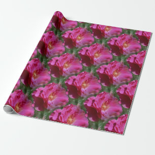 Pink Rose Flower Pattern Nature    Wrapping Paper