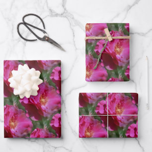 Pink Rose Flower Pattern Nature Wrapping Paper Sheet
