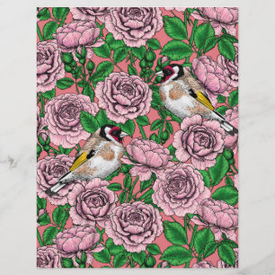 Pink Rose flowers and goldfinch birds