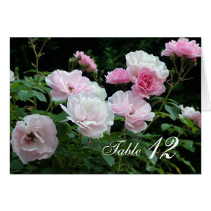 Pink rose flowers dinner table number card.