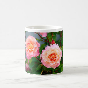 Pink rose flowers in a garden postcard coffee mug