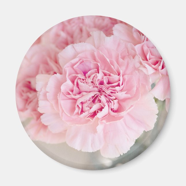 Pink Rose Flowers Magnet (Front)