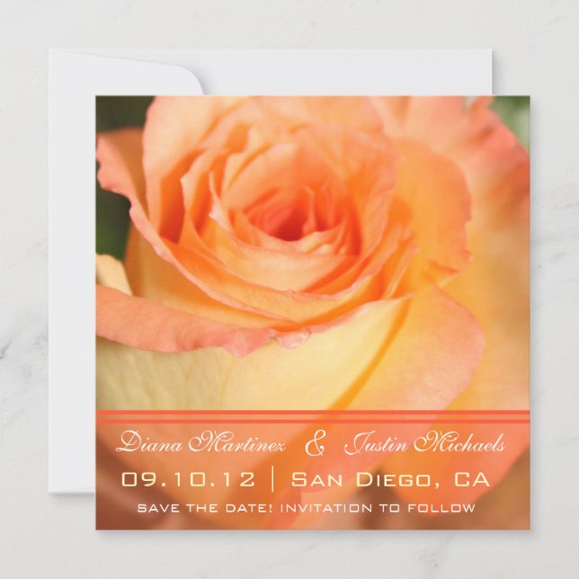 Pink Rose Flowers Save the Date (Front)