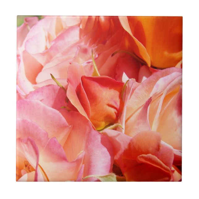 Pink Rose Flowers tile art decorative Roses (Front)