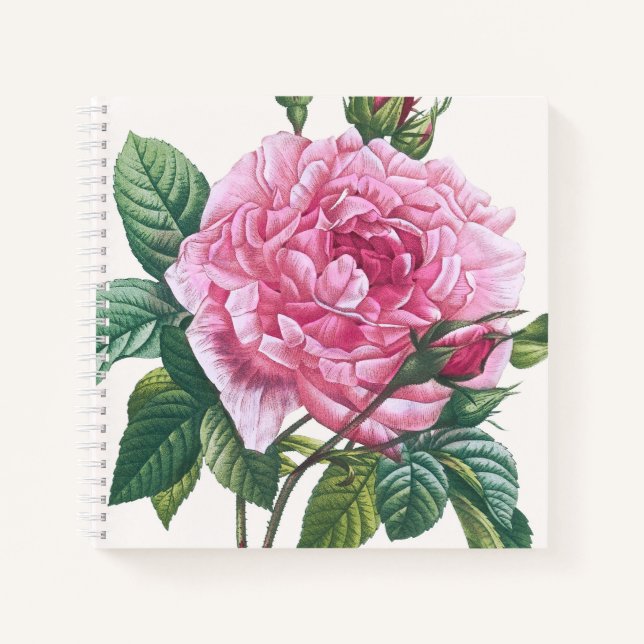Pink Rose Flowers with Green Leaves Notebook (Front)