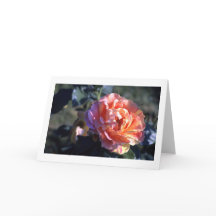 Pink Rose Folded Blank Greeting Card
