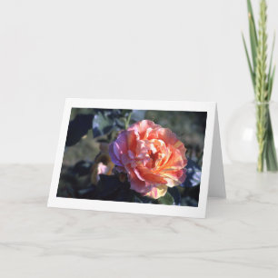 Pink Rose Folded Blank Greeting Card