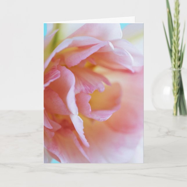 Pink Rose For Mother's Day Card (Front)