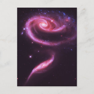 Pink Rose Galaxies Postcard