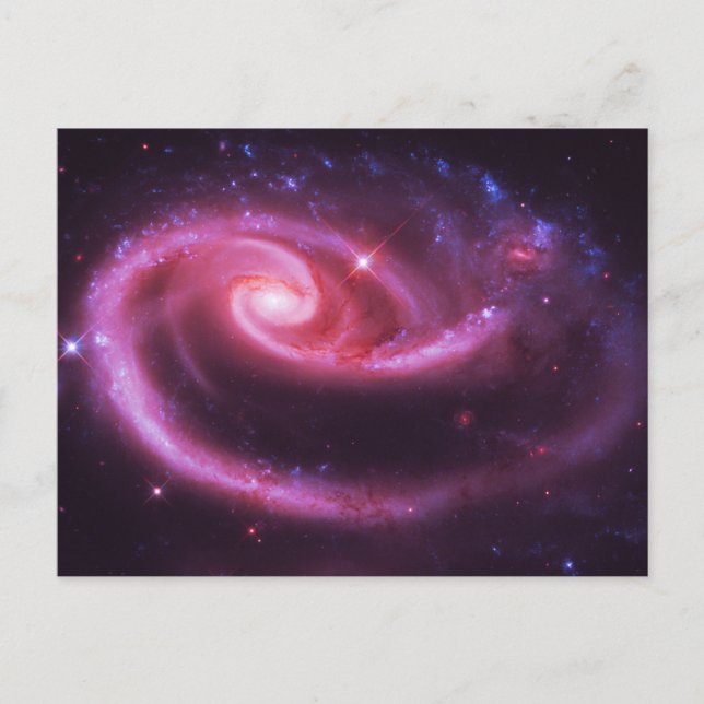 Pink Rose Galaxies Postcard (Front)