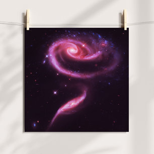 Pink Rose Galaxies Poster