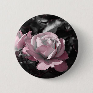 Pink Rose Garden 6 Cm Round Badge