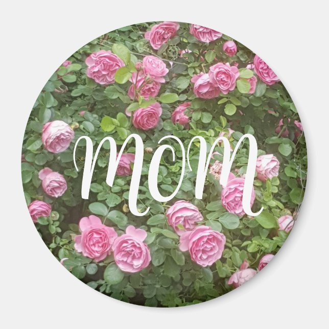Pink Rose Garden Mum  Magnet (Front)
