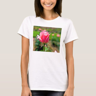 Pink Rose Garden T-Shirt