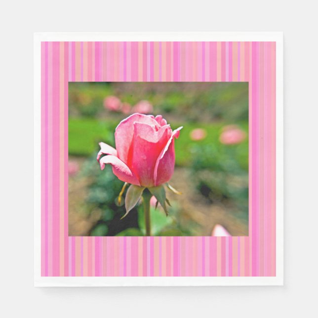 Pink Rose Garden with Stripes Napkin (Front)