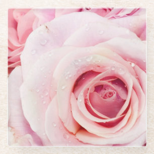 Pink Rose Glass Coaster