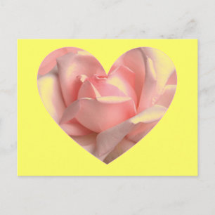 Pink Rose Heart Postcard