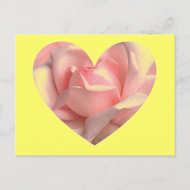 Pink Rose Heart Postcard (Front)