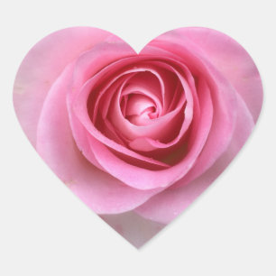 Pink Rose Heart Stickers