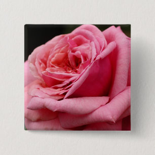 Pink Rose I Pretty Floral Photography 15 Cm Square Badge