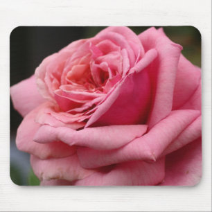 Pink Rose I Pretty Floral Photography Mouse Pad