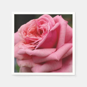 Pink Rose I Pretty Floral Photography Napkin