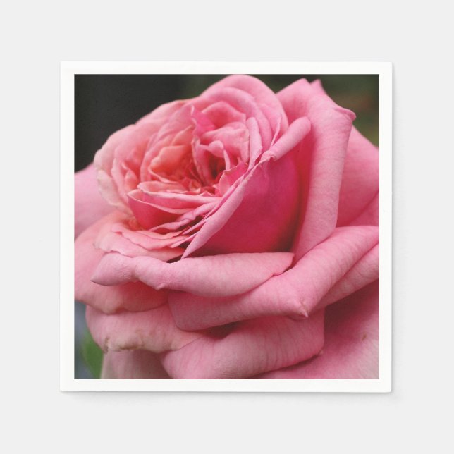Pink Rose I Pretty Floral Photography Napkin (Front)