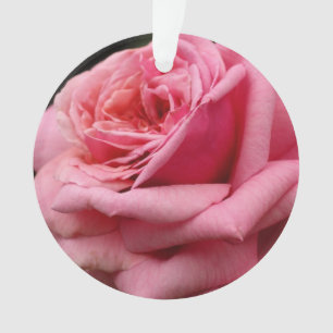 Pink Rose I Pretty Floral Photography Ornament