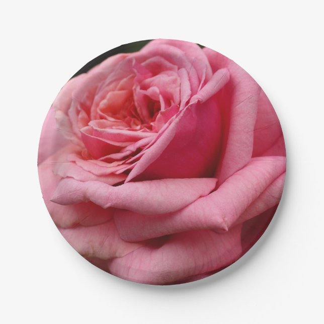 Pink Rose I Pretty Floral Photography Paper Plate (Front)