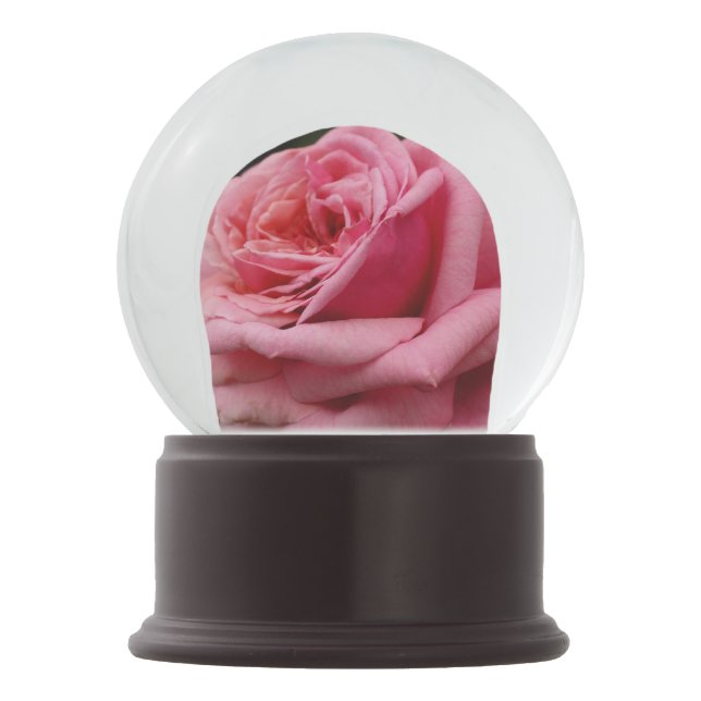 Pink Rose I Pretty Floral Photography Snow Globe (Front)