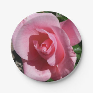 Pink Rose III Garden Floral Paper Plate