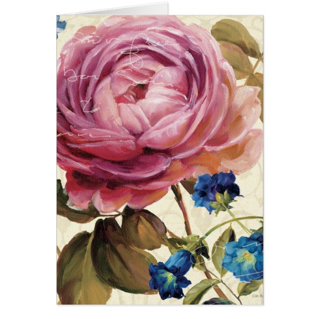 Pink Rose in Full Bloom (Front)