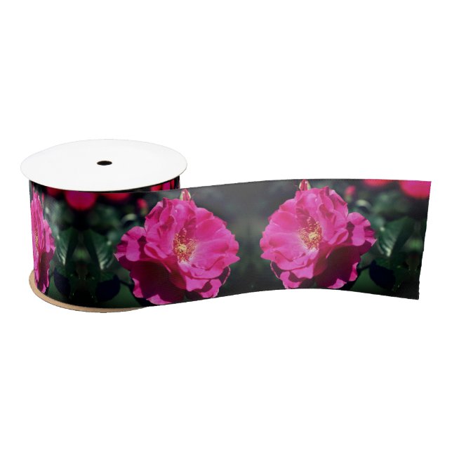 Pink Rose In Full Bloom Close Up Satin Ribbon (Spool)
