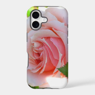 Pink Rose iPhone 5 Case