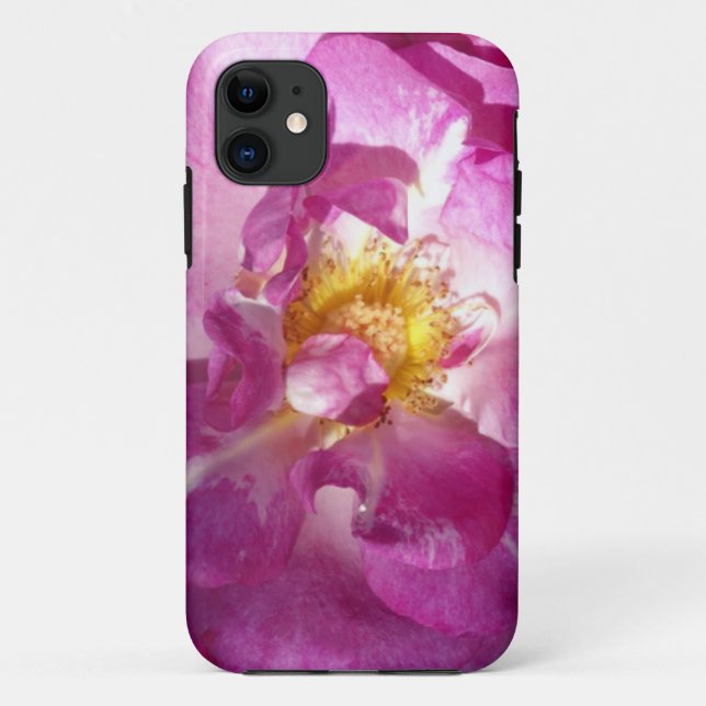 Pink Rose iPhone SE + iPhone 5/5S, Barely There Case-Mate iPhone Case (Back)