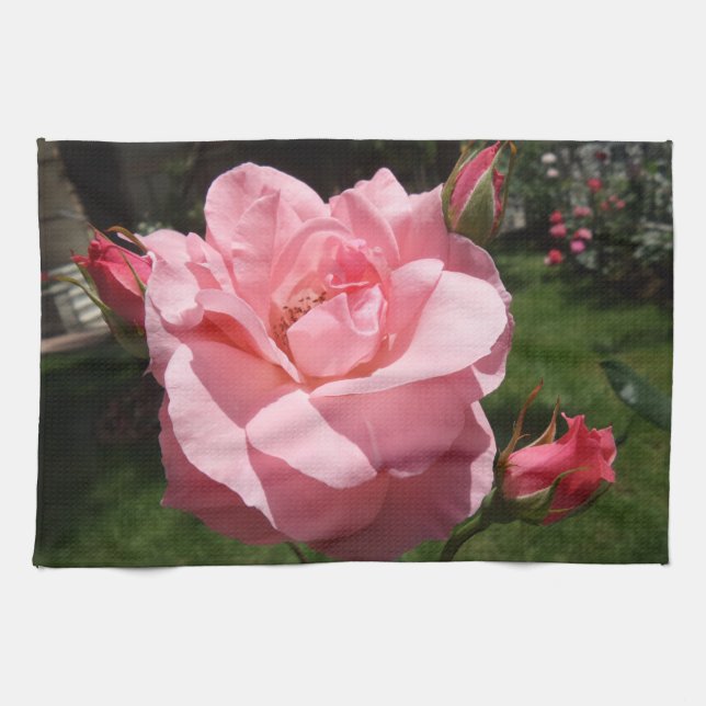 Pink Rose Kitchen Towels (Horizontal)