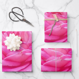 Pink Rose 'Leonardo Da Vinci' Wrapping Paper Sheet
