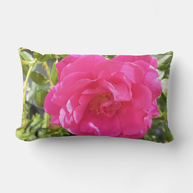 Pink Rose Lumbar Cushion (Front)
