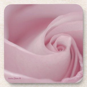 Pink Rose Macro Coaster