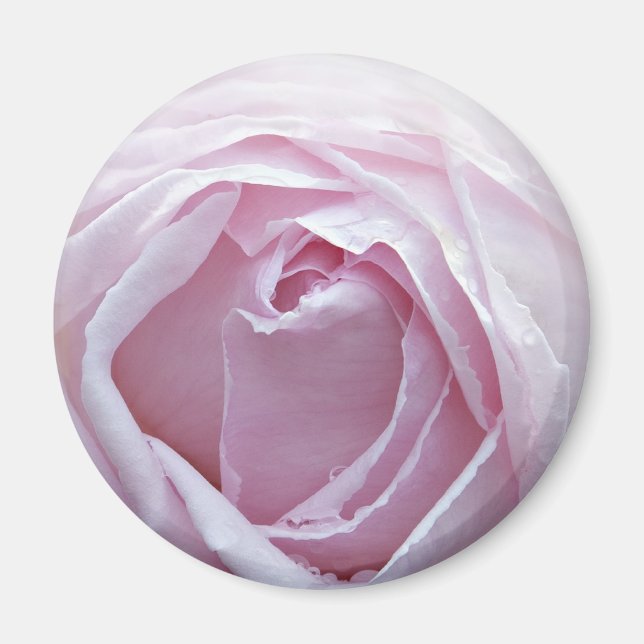 Pink rose magnet (Front)