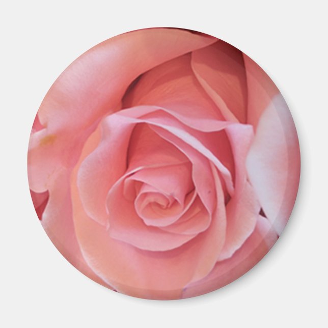 Pink Rose Magnet (Front)