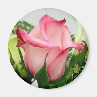 Pink rose magnet