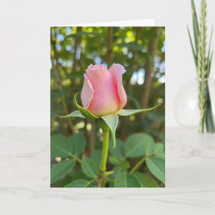 Pink Rose Mother Day Bloom Card