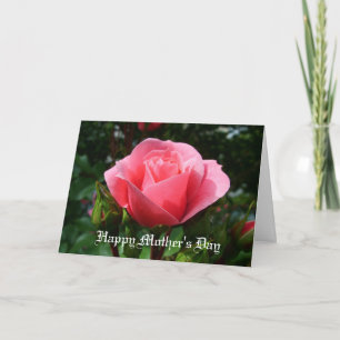 pink rose mother's day card