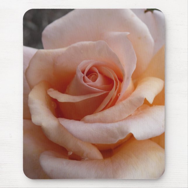 Pink Rose Mouse Pad (Front)