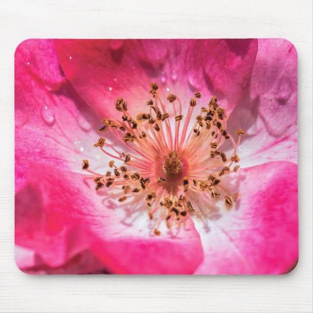 Pink Rose Mouse Pad (Front)