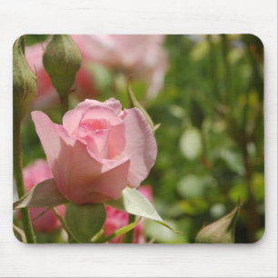 Pink Rose Mouse Pad
