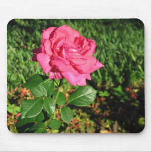 Pink Rose mousepad