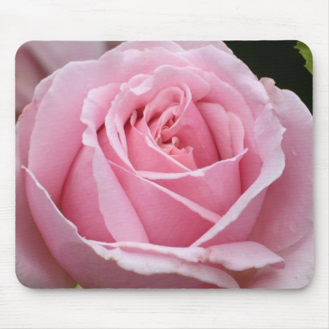 Pink Rose Mousepad (Front)